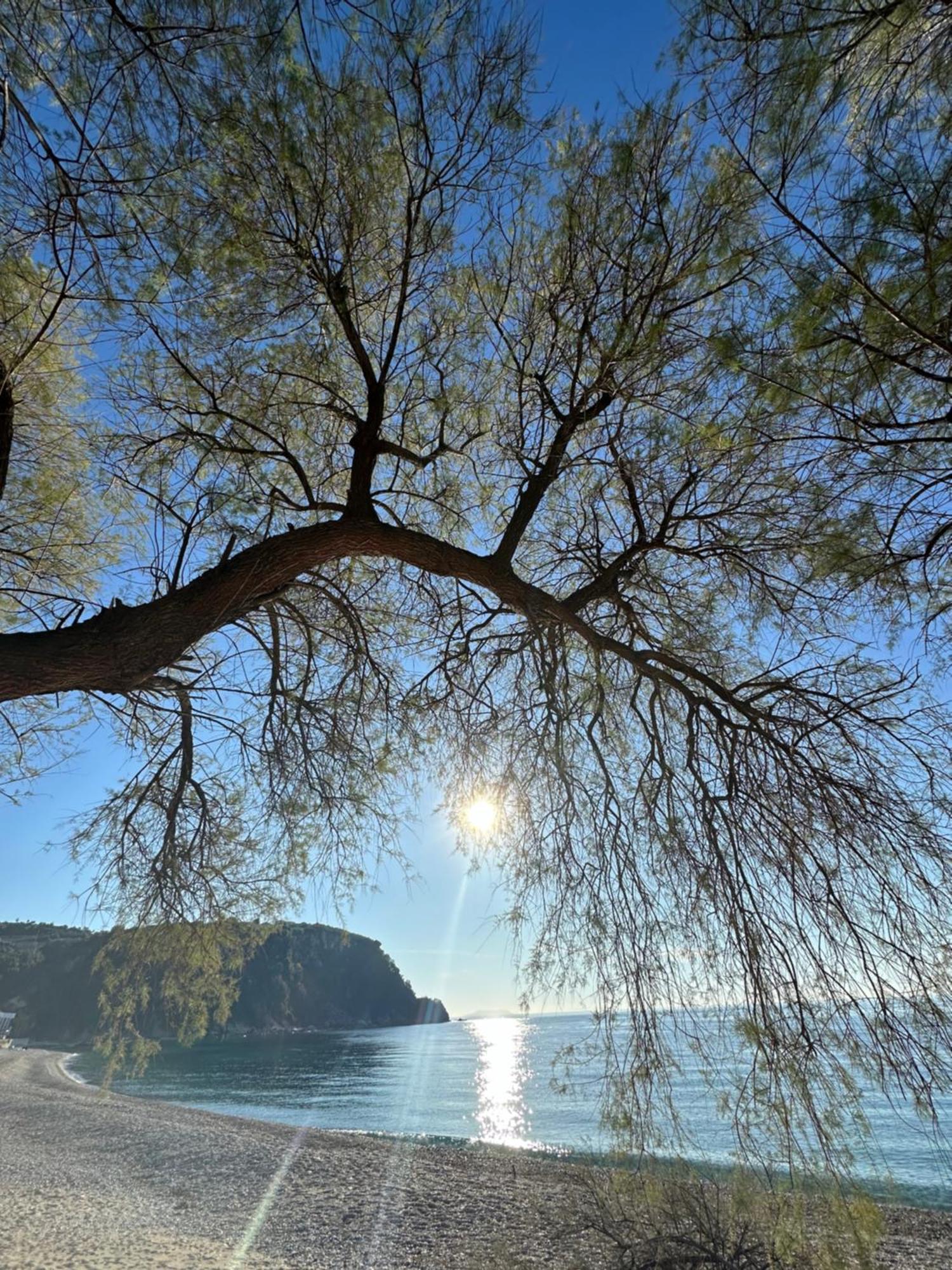 Potami Seashell Hotel Himare Bagian luar foto